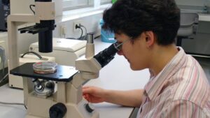 Dunkelfeldmikroskopie Ausbildung